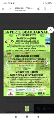 2025 la foire de la st Bernabé à la Ferté Beauharnais 